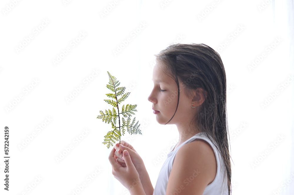 folhagem de arvore verdinha, conceito de amor e respeito a natureza folhagem de arvore verdinha, conceito de amor e respeito a natureza