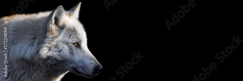 Obraz na płótnie Template of a black wolf with a black background w salonie