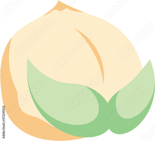 Japanese Dessert Illustration Vector