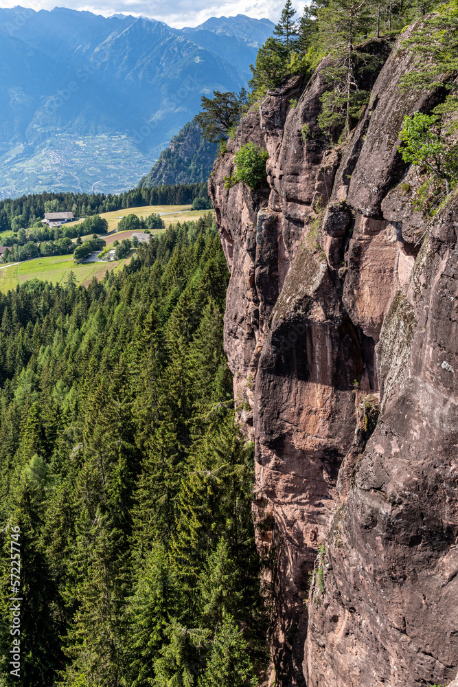 Felswand im Tannenwald im Hintergrund bewaldete Hügel