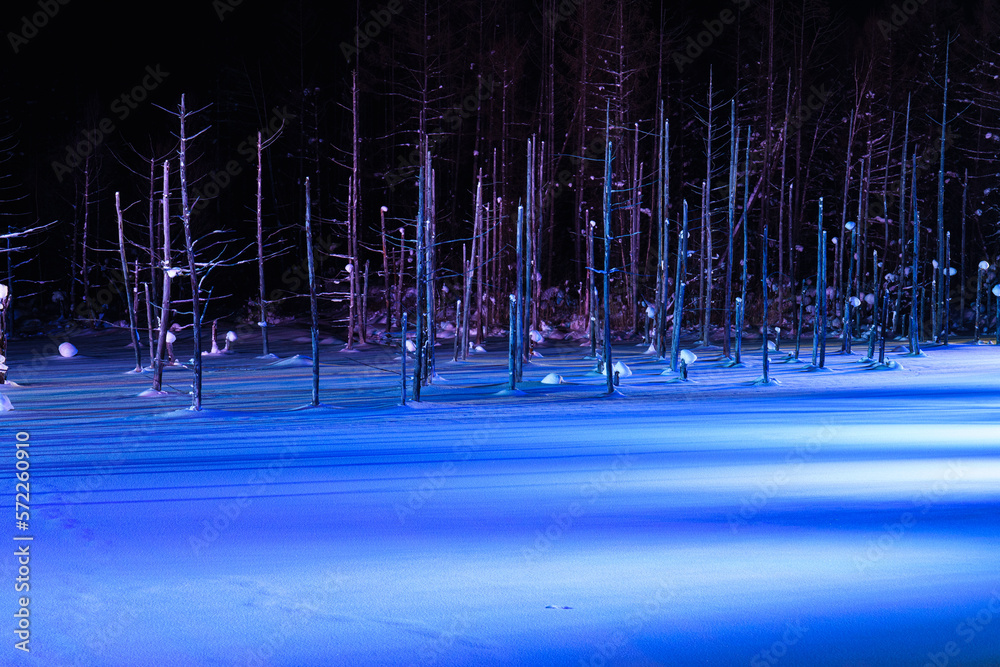 美瑛　青い池 ライトアップ　冬の北海道観光1月
