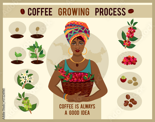 African woman is a coffee farmer with a basket of coffee berries on the farm. Woman in traditional African clothes. Process of planting and growing a coffee tree poster. Coffee growing process