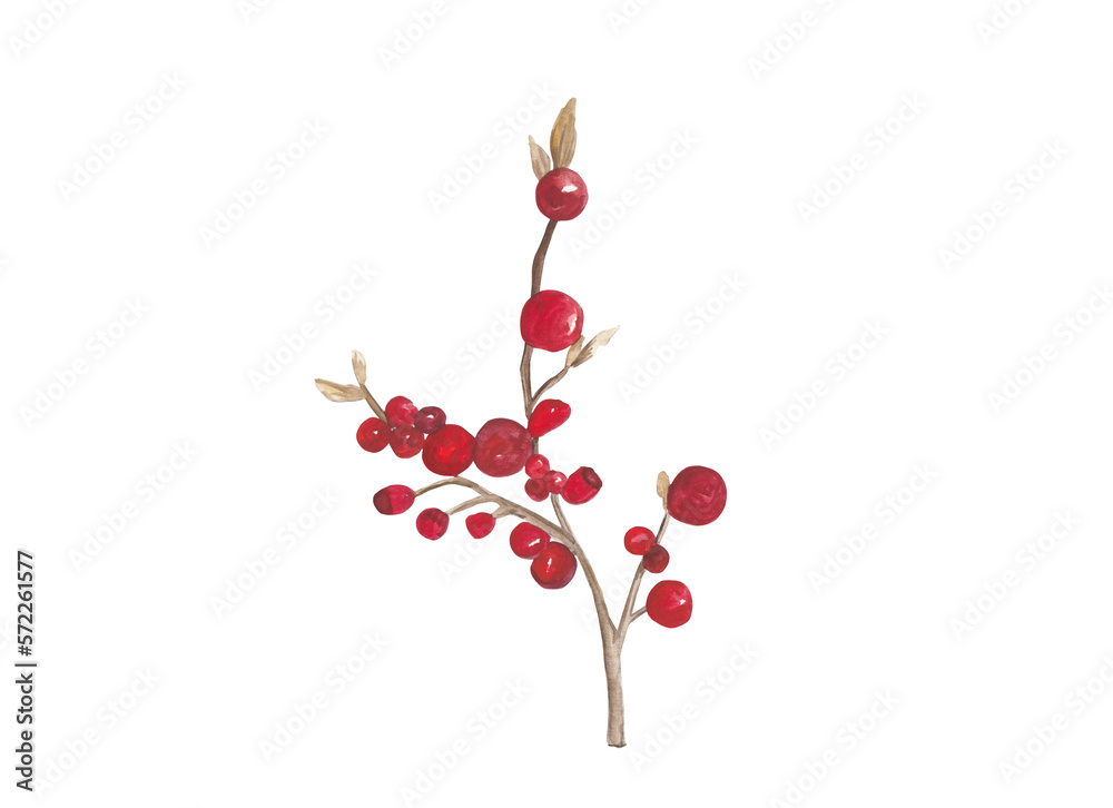 Winter tree branch with red berries Winter gouache illustration Hand painted and hand drawn clipart Original painting Winter tree branch with red berries Winter gouache illustration Hand painted and hand drawn clipart Original painting