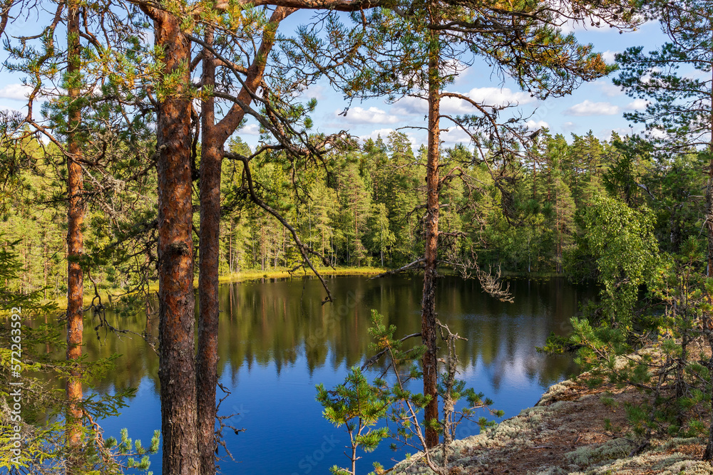 lake in the woods