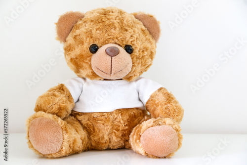 Warm cuddly brown teddy bear wearing white t-shirt sitting down, white background