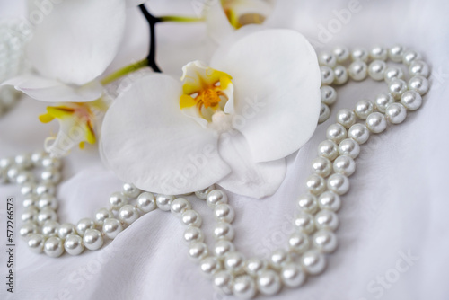 The branch of white orchids on white fabric background 