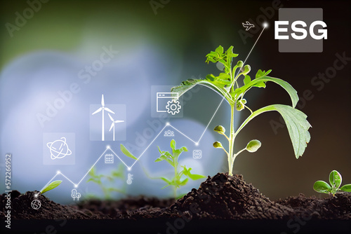 young green plants growing at sunlight Environment technology Infographics hologram Green energy technology concept Close up ESG