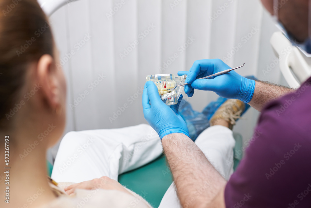 Rear view, dentist explaining the dental treatment to a patient on a plastic model of human jaw bone Rear view, dentist explaining the dental treatment to a patient on a plastic model of human jaw bone