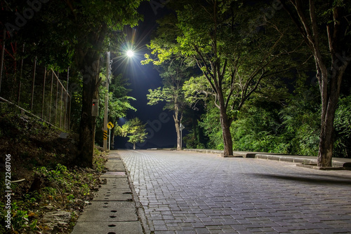 Fotografia street with green trees and brick road at night