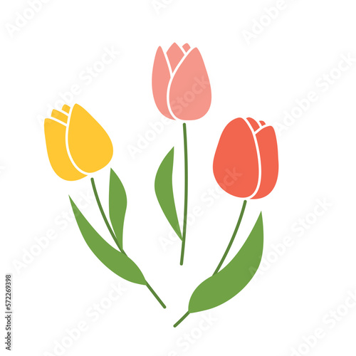 colorful tulip flowers - vector illustration