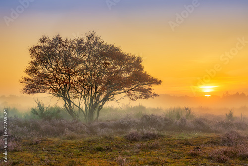 sunrise in the fog © Bart Hendrix
