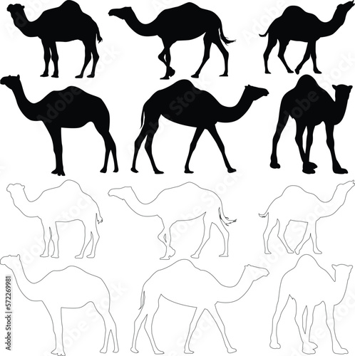 Fototapeta Naklejka Na Ścianę i Meble -  Set of camel silhouettes. 