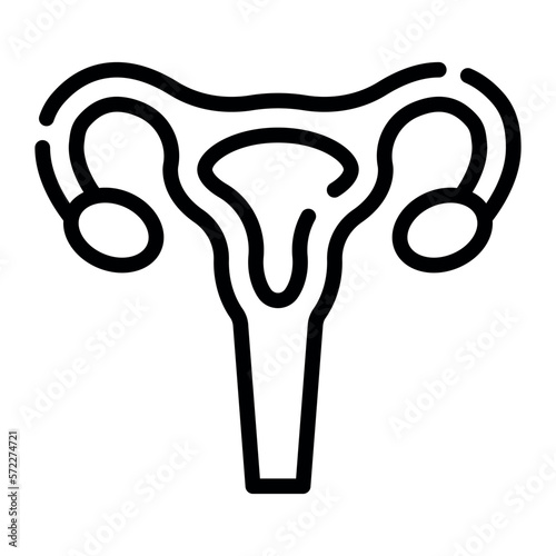 Uterus also called the womb 