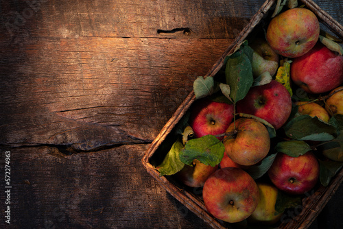 Freshly picked colorful apples in a basket on a wooden table oblique view with text free space
