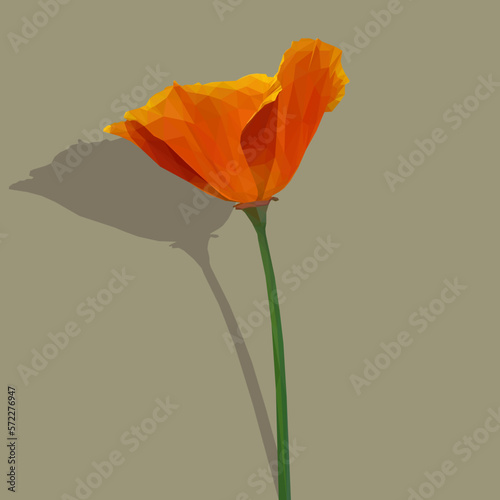 Low Poly Illustration of an orange and red poppy.
