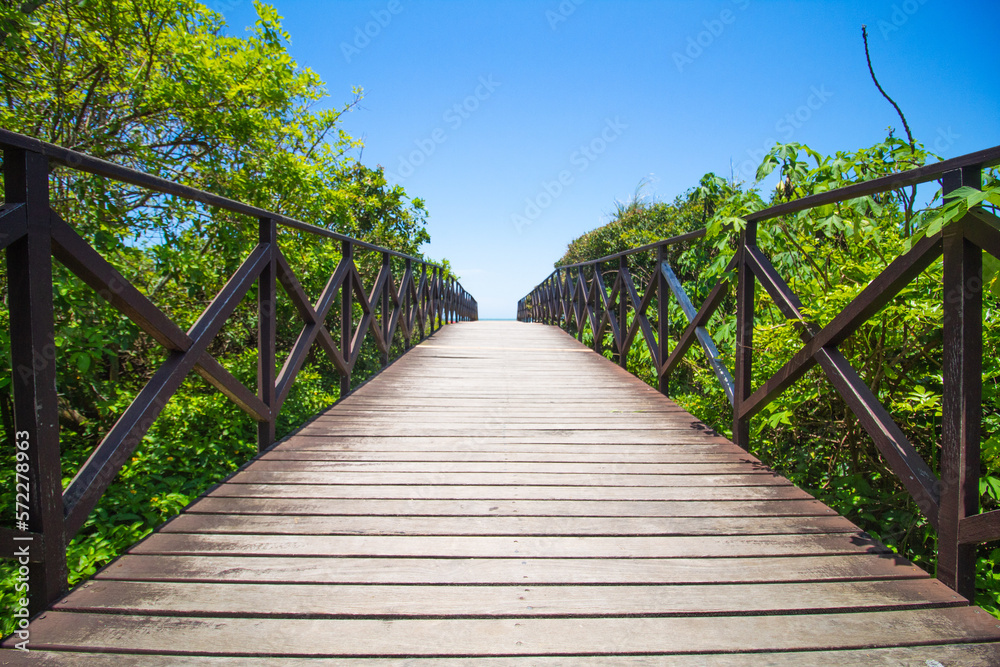 Obraz premium Path to summer
