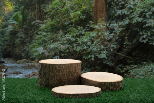 Wood podium table top in outdoor green lush tropical forest nature landscape background.Organic healthy natural product present placement pedestal counter display website banner cover jungle concept.