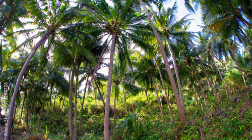 Beautiful scenery in Thailand