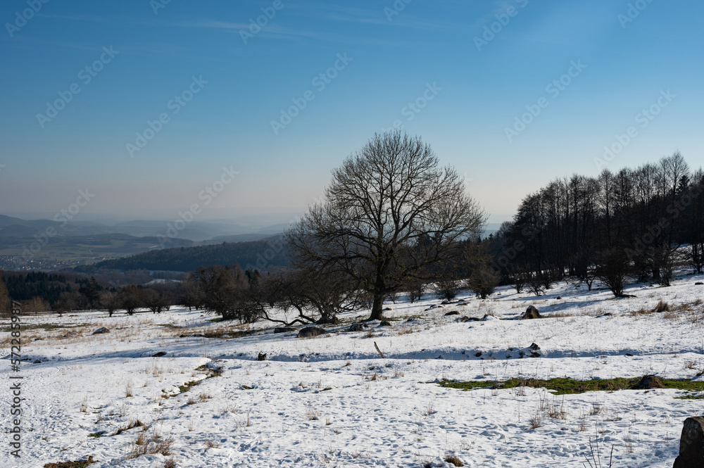 Winter landscape with lots of snow Winter landscape with lots of snow