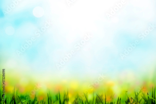Spring background with grass flowers and bokeh lights  Sunny spring meadow blur background  blue sky to green grass gradient