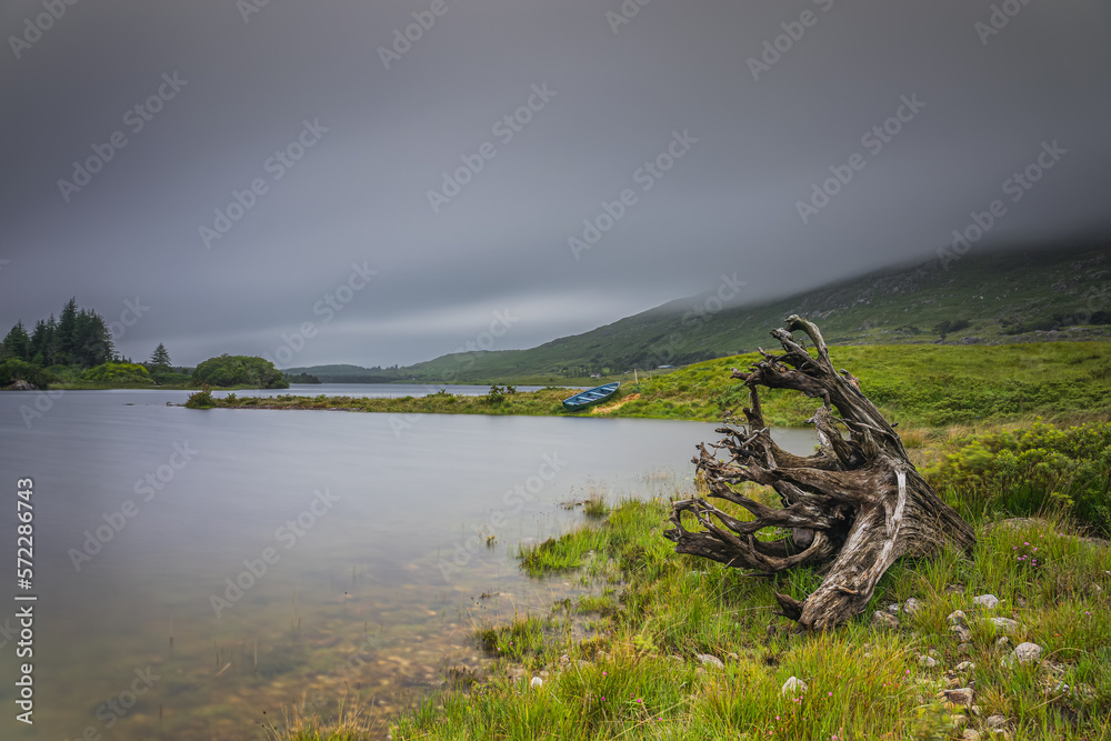 Tree trunk with roots and paddle boat on the edge of Ballynahinch Lake in Connemara, County Galway. Blurred water and dark dramatic sky, long exposure