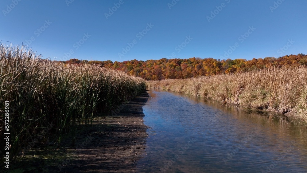 Nature wildlife area at Irondequoit Bay in New York during Autumn Season with fall colors outdoors in environment Nature wildlife area at Irondequoit Bay in New York during Autumn Season with fall colors outdoors in environment