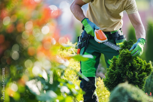 Professional Gardener Trimming the Plant with Power Tool photo