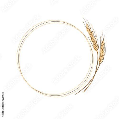Wreath frame from ears of wheat.A bunch of ears of wheat,dried whole grains.Cereal harvest,agriculture,organic farming,healthy food symbol.Ears of wheat hand drawn.Design element. Isolated background