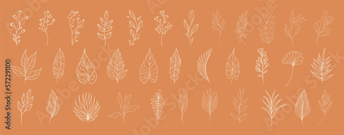 Set of leaves. Tropical plants. Herbarium. Perfect for herbal products designs.