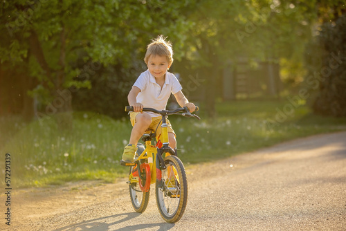 Cute child with pet dog, riding a bike in a rural field on sunset