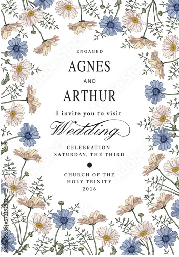 Chamomile daisies isolated floral. Thank You. Wedding invitation baroque. Beautiful blooming realistic flowers. Vintage greeting card. Drawing engraving frame. Wallpaper vector illustration