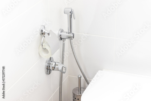 Details in a bright modern bathroom: toilet paper holder, hygienic shower