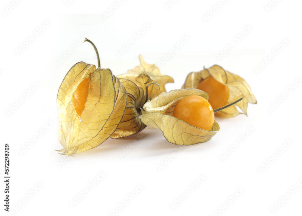 Physalis fruits close up and isolated