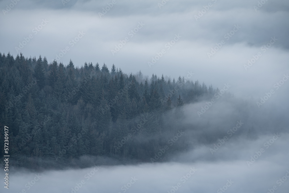 Trees and mist. Bamford Edge landscape vignette in the Peak District National Park, UK.