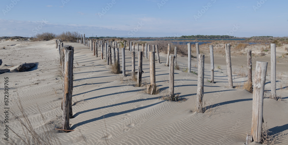 sable et coquillage