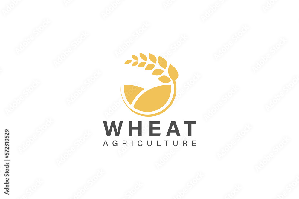 Fototapeta premium Wheat logo design vector with circle concept