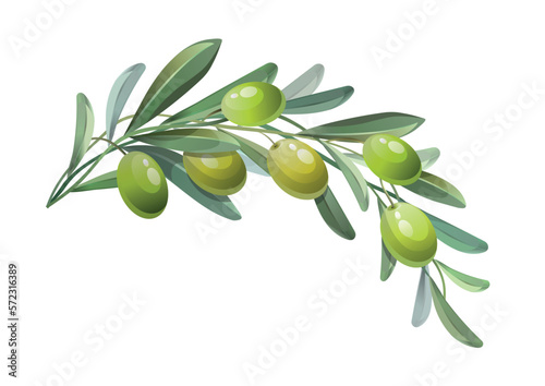 Green olive branch. Green olives with leaves. Vector illustration