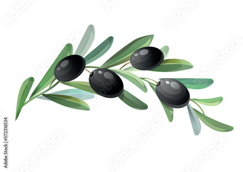 Black olive branch. Green olives with leaves. Hand drawn image of organic food.