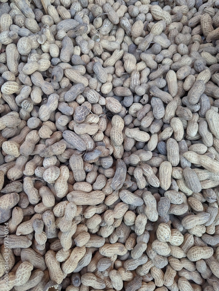 close up of seeds, peanuts, Mexican local street market Wallpaper close up of seeds, peanuts, Mexican local street market Wallpaper