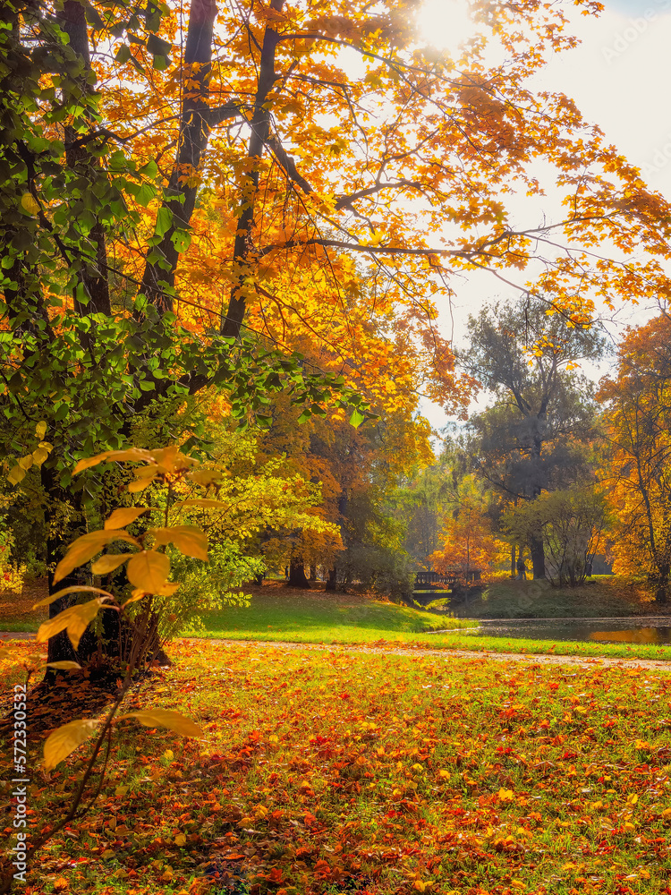 Golden autumn, Alexander park in Tsarskoye Selo on a sunny day. Golden autumn, Alexander park in Tsarskoye Selo on a sunny day.
