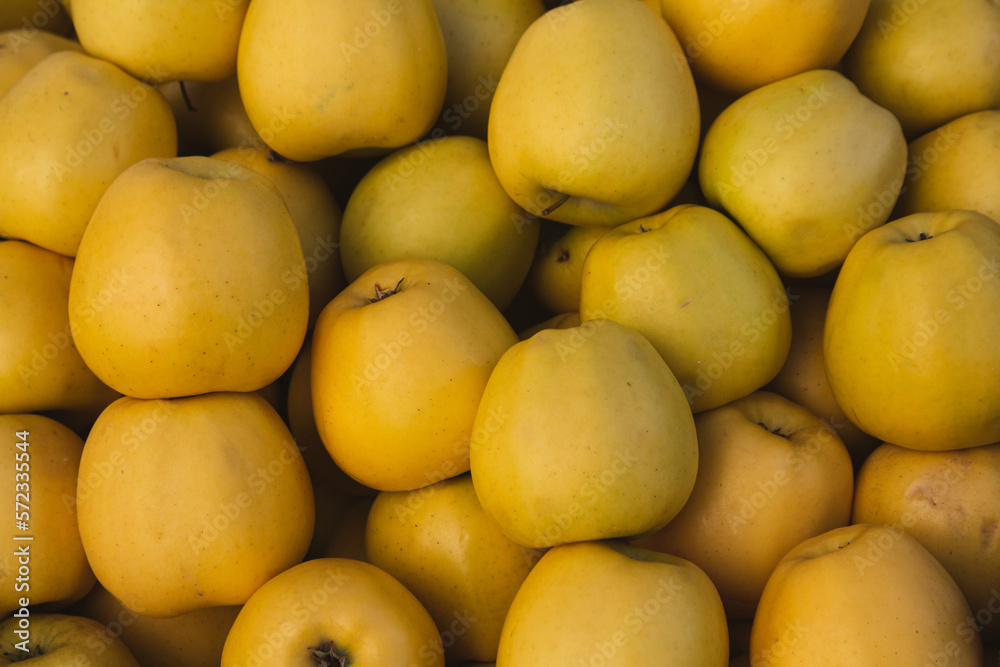 yellow apples background