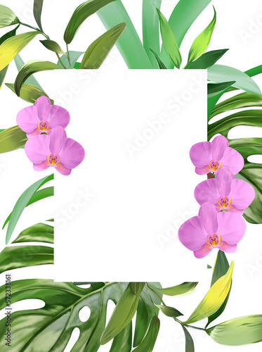 Fototapeta Naklejka Na Ścianę i Meble -  Banner tropical leaves and branches isolated on white background. Illustration for design wedding invitations, greeting cards, postcards. Spring or summer flowers with space for your text