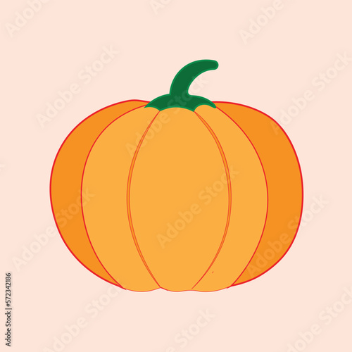 Pumpkin vector design. Gourd,
    organic vegetable.