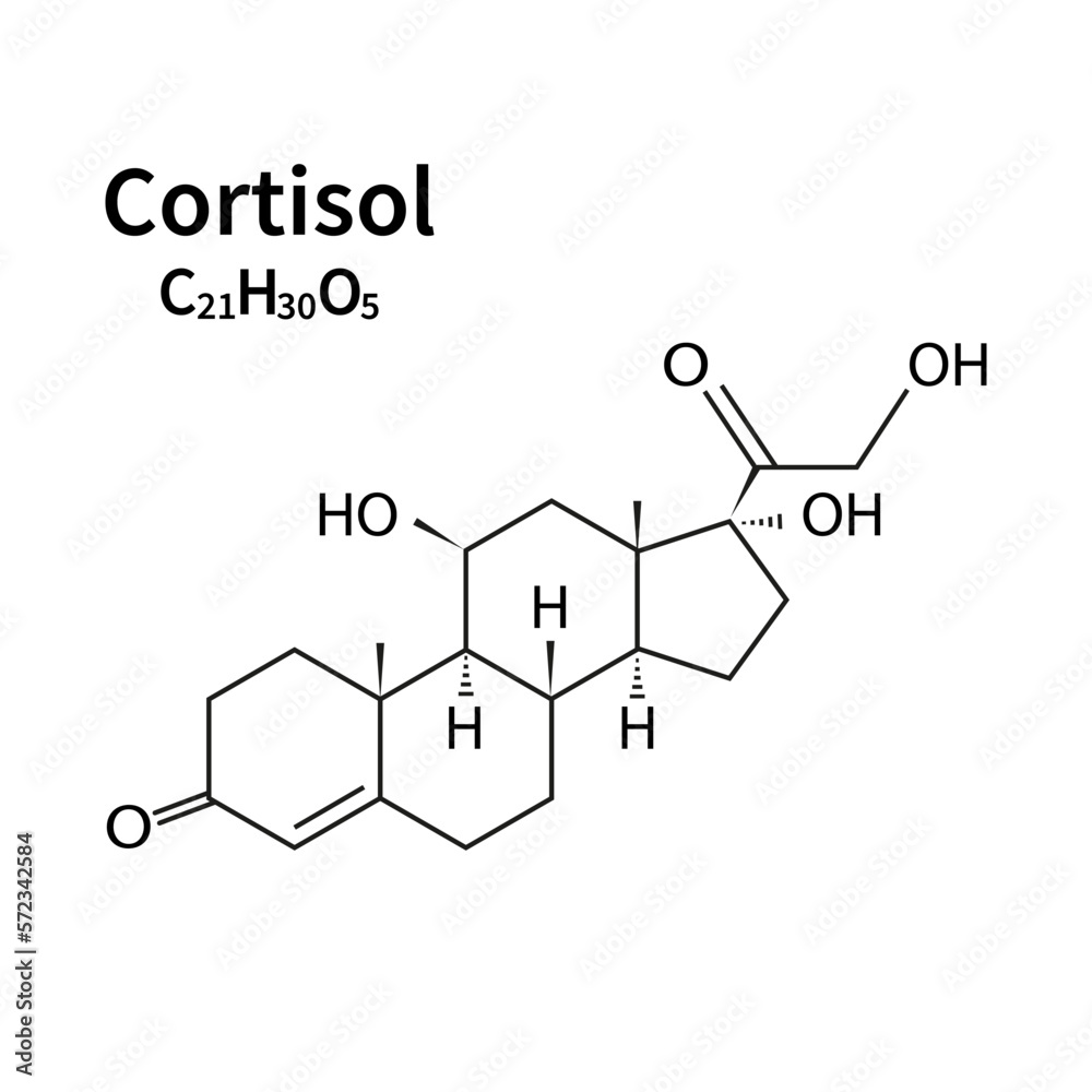 Cortisol hormone icon vector outline illustration. Hydrocortisone chemical molecular structure 