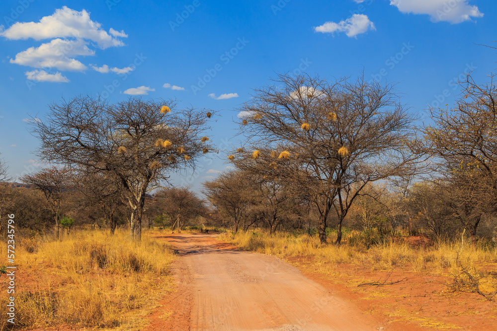 Andersson Trail in Waterberg Plateau National Park, Kalahari, Otjiwarongo, Namibia, Africa.
