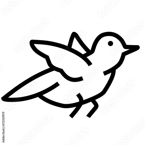 Cute Baby bird