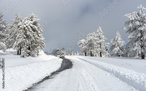 Frozen snowy icy dangerous in the mountain in winter. Troodos forest Cyprus wintertime © Michalis Palis
