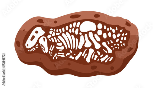 Tyrannosaurus fossils skeleton. Tyrannosaurus fossil bones. Dinosaur skeleton. Dinosaur bones with skull. Paleontology and archeology.