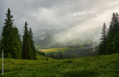 mountain meadow in morning light. countryside springtime landscape with valley in fog behind the forest on the grassy hill. fluffy clouds on a bright blue sky.