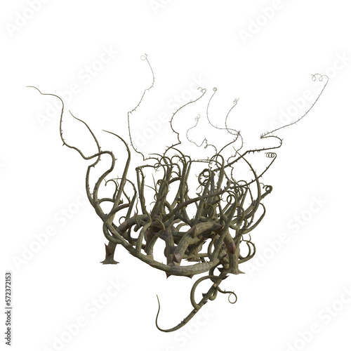 3d render isolated briar thorn patch